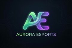 探花合作品牌极光电竞